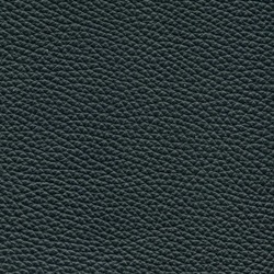 Läder: Grand svart 009